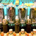 Nixie Tubes from LOCI-2 Calculator